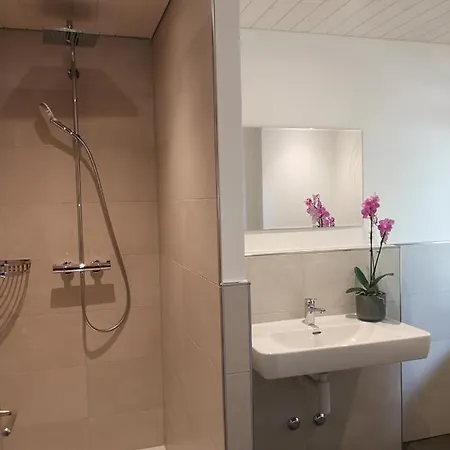 Peaks View Chalet Ιντερλάκεν